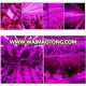 Factory price 360W cob led grow light used for all kinds of plants, led light grow